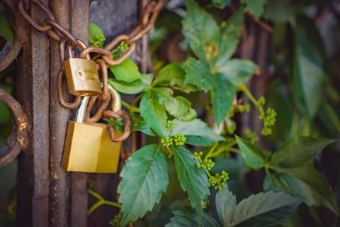 Old ancient locks on a chain Stock Photos