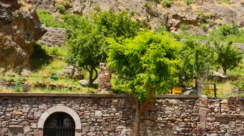 Old Ancient Wall Amongst Trees 库存影片 53232640