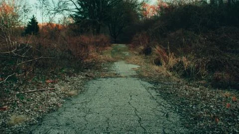 An Old and Broken Concrete Path Going Through an Autumn Field Stock Photos