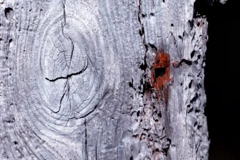 Old and decayed wood background Stock Photos