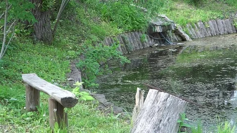 An old and dirty pond. Stock Footage 76596171