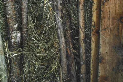 Old and dry wood branches placed in the barn attic background surface Stock Photos