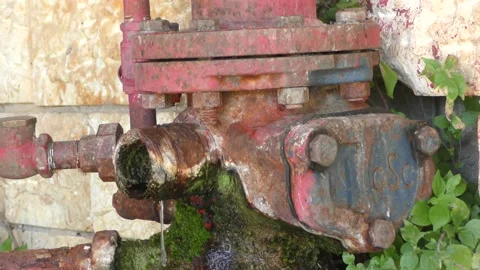 An old and leaking fire hydrant moss in an abandoned place top to bottom Vidéo 130319835