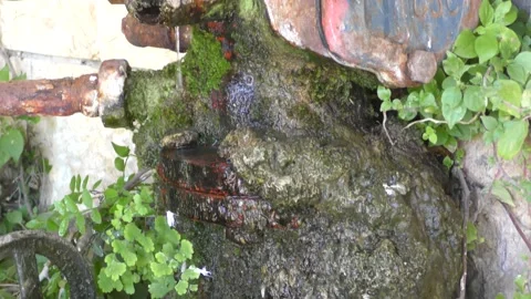 An old and leaking fire hydrant moss in an abandoned place bottom to top Vidéo 130332585