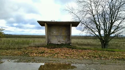 Old and lonely bus stop on the background of a field in the autumn season Stock Footage 219540016