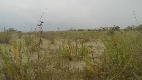 Old and lost beach urbanization  in a windy day Stock Footage 107879792
