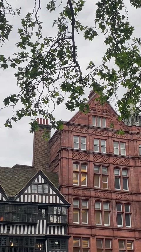 Old and Modern Buildings with Tree Foliage in London England 4K Vertical Video 스톡 동영상 335018946
