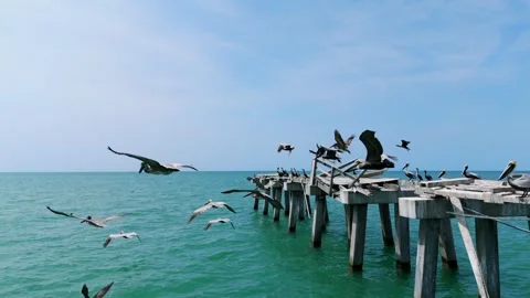 Old and partially broken pier with missing or disjointed planks , and group of Stock Footage 273869474