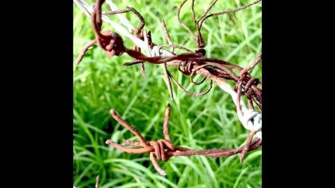 Old and rust of cross barbedwire hanging in the air.security and protection.. Video stock 326629067