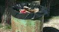 Old and rusted garbage box in a park HD Footage