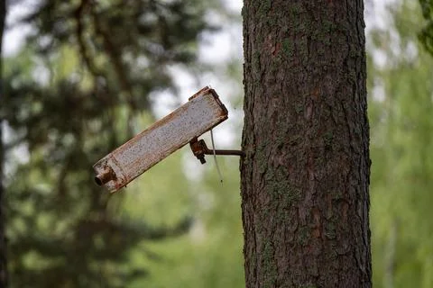 Old and rusty fake security camera	 Stock Photos