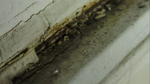 Old And Rusty Window, Rust, Decay,  Dust, Dirt, Negligence, Pan Video stock 46931614