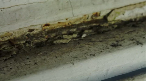 Old And Rusty Window, Rust, Decay, Negligence,  Macro, Pan Video stock 46931669