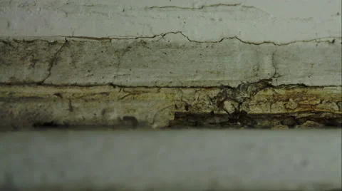 Old And Rusty Window, Rust, Decay,  Dust, Dirt, Negligence, Pan Video stock 46931677