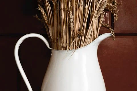 Old and white rustic pitcher with dry rye in front of brown wall Stock Photos