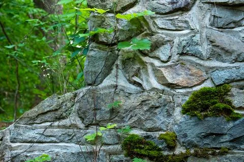 Old and worn stonework with moss and surrounded by forest. Stock Photos