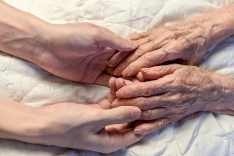 Old and young hands. Hands of an old woman-82 years in the young hands of a g Stock Photos