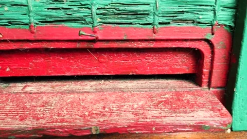 Old apiary Video stock 131439483