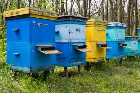 Old apiary in forest Stock Photos