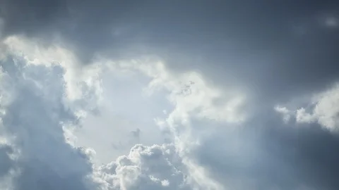 Old apple tree on a meadow Stock Footage 86219571