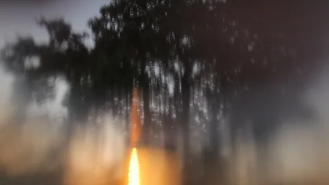 Old apple tree on a meadow, sunset with sun flare Stock Footage 85862810