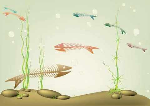 Old aquarium. Stock Illustration