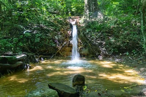Old aqueduct is made from a tree trunk Stock Photos