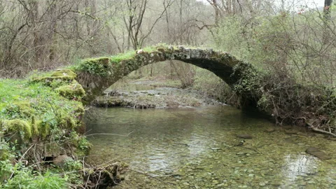 Old arch bridge in the forest, made of stone, covered in grass and green moss Stock Footage 212281202