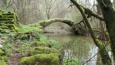 Old arch bridge in the forest, made of stone, covered in grass and green moss Stock Footage 212312448