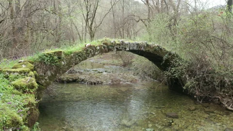 Old arch bridge in the forest, made of stone, covered in grass and green moss Stock Footage 212328874