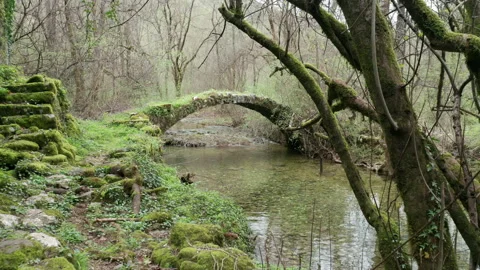 Old arch bridge in the forest, made of stone, covered in grass and green moss Stock Footage 212342325