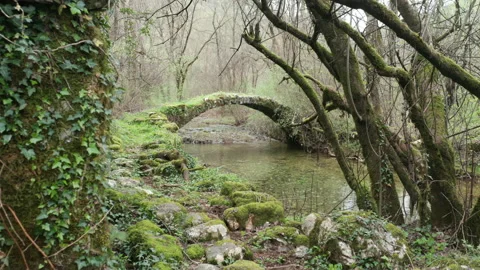 Old arch bridge in the forest, made of stone, covered in grass and green moss Stock Footage 212371320