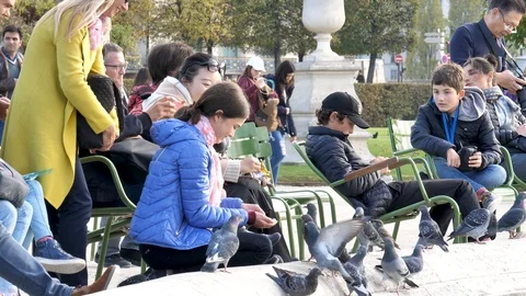 The old architecture of Paris. Stock Footage 102956531