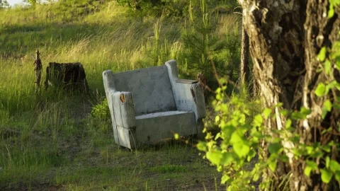An old armchair in the forest, on the edge of the forest, discarded by people. Stock Footage 310539671