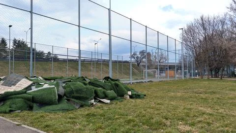 Old Artificial Grass Turf Removed For Football Field Surface Renovation Foto stock