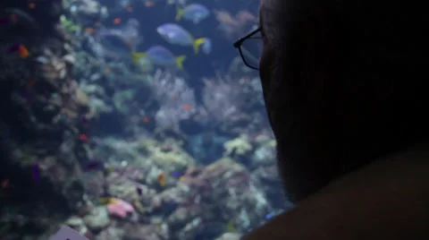 An old Asian guy standing in front of an aquarium Stock Footage 36148919