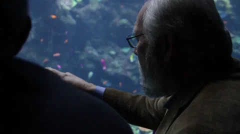 Old Asian man points out describing the fishes Stock Footage 36150504