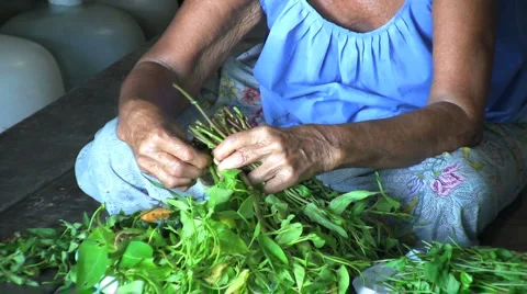 Old Asian Woman Cutting Vegetables Stock Footage