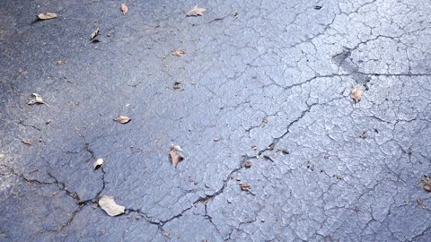Old Asphalt Driveway - Cracks in Blacktop Driveay 2 Stock Footage 346982960