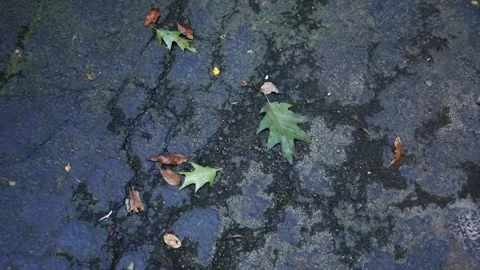Old Asphalt Driveway - Cracks in Blacktop Driveay 5 Stock Footage 346982964
