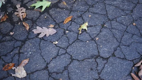 Old Asphalt Driveway - Cracks in Blacktop Driveay 6 Stock Footage 346982965