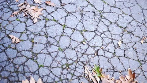 Old Asphalt Driveway - Cracks in Blacktop Driveay 7 Stock Footage 346982967