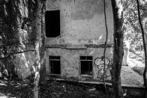 Old asylum  Brestovac Stock Photos