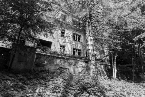 Old asylum  Brestovac Stock Photos