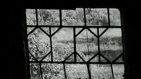 Old attic window Stock Footage 138494031