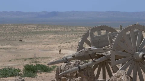 An old authentic chariot, a cart on the background of a desert of camels Stock Footage 124603325