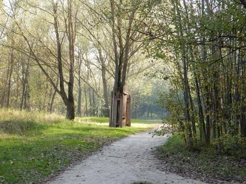 Old autumn willows in protective boxes for trunks, ecology, protection of nat Stock Photos
