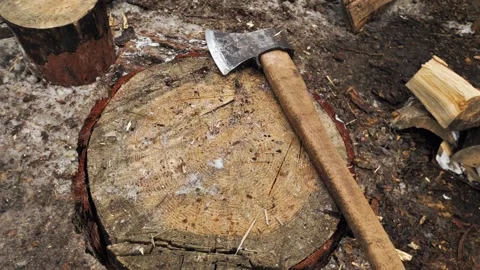 An old ax with a long handle lies on a stump of wood  Stock Footage 223033593