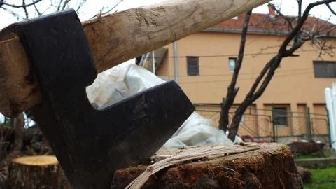 Old ax stuck in a tree Stock Photos