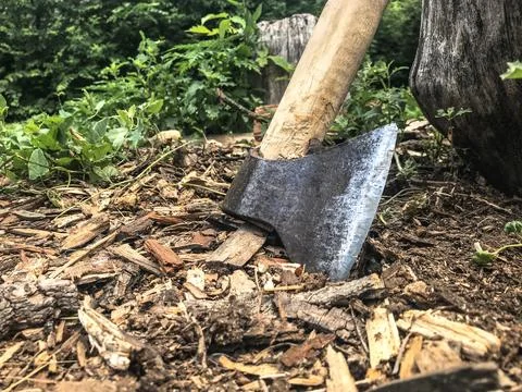 Old axe embedded in wood chips outdoors Stock Photos